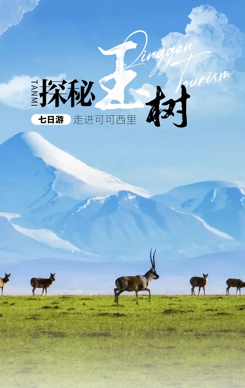 2025年【探秘玉树】-走进可可西里摄影精品小团8天7晚深度之旅